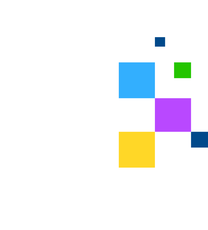 EverSafe Pro